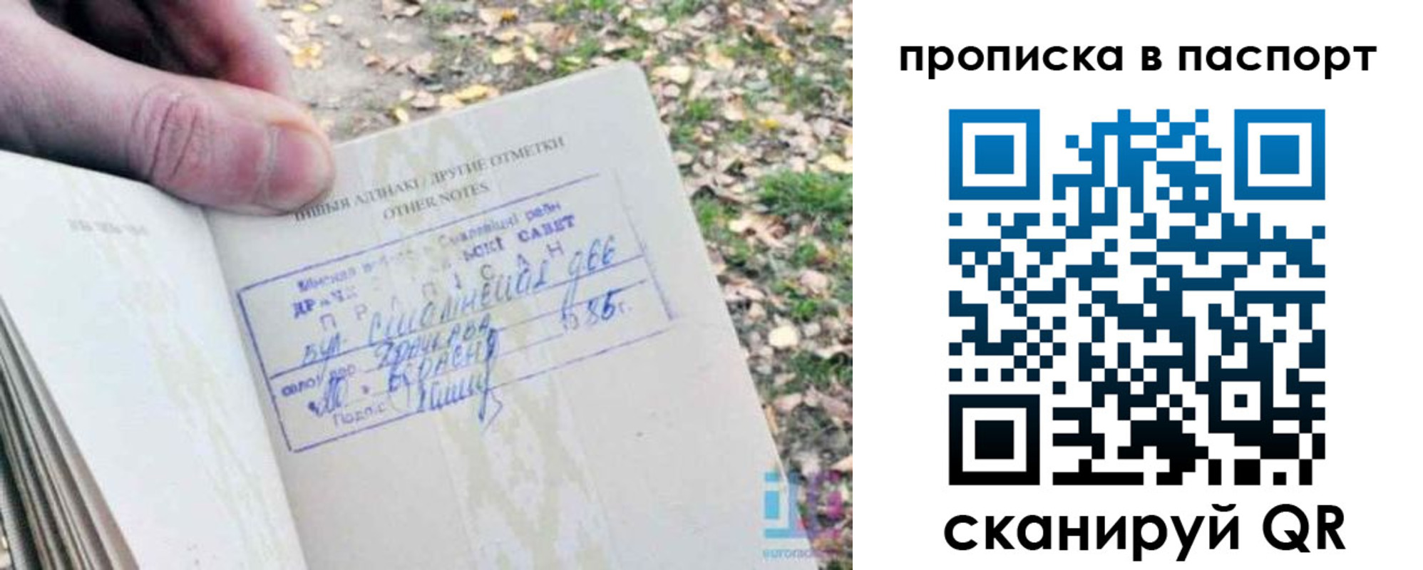 купить прописку в Белёве